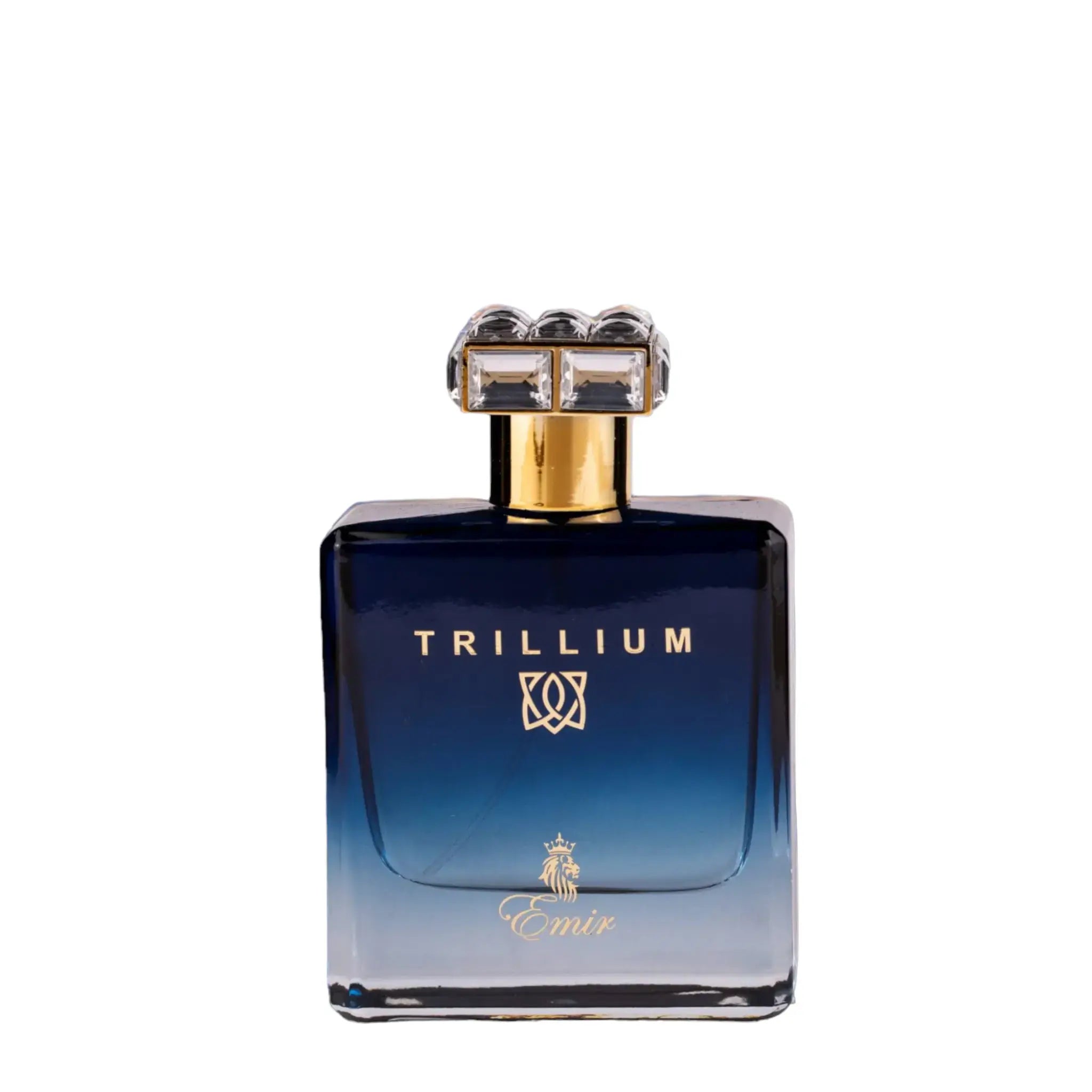 EMIR Trillium perfume inspired by Roja Elysium with citrus, vetiver, leather, and ambergris – fresh, refined masculine fragrance